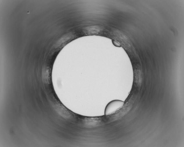 X0000111450378200908241211
