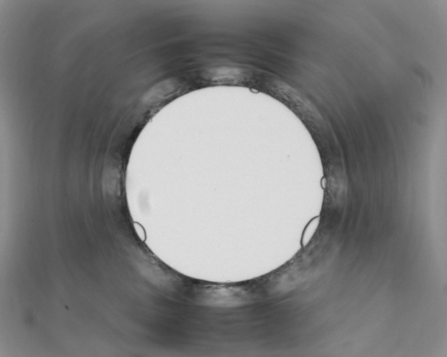 X0000111450379200908241211