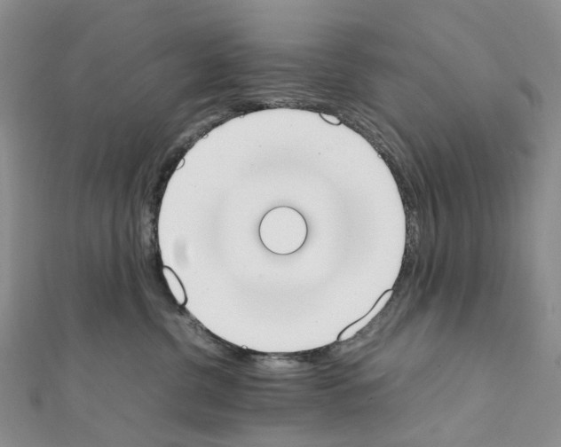 X0000111450380200908241211