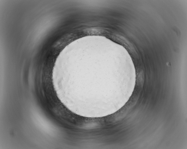 X0000111450381200908241211