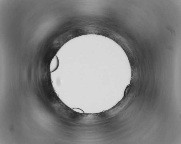 X0000111450382200908241211