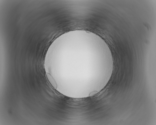 X0000111450384200908241211