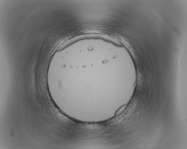 X0000111450385200908241211
