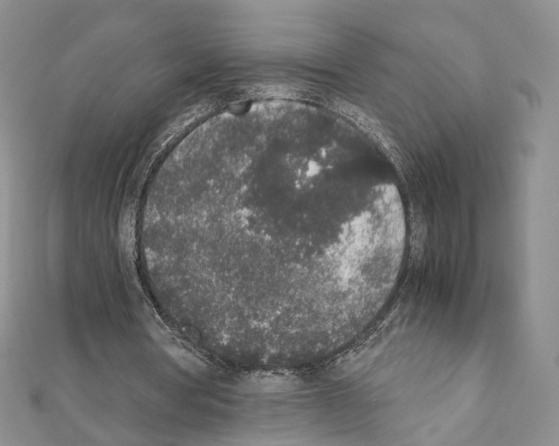 X0000111450386200908241211