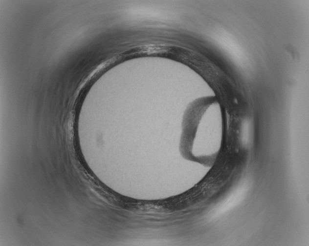 X0000111450387200908241211