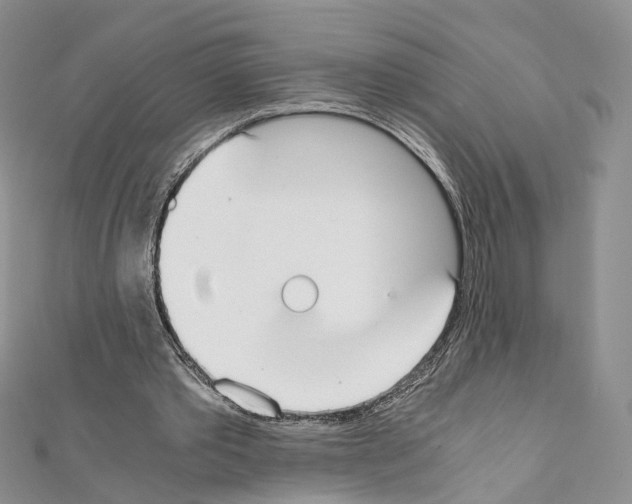 X0000111450389200908241211