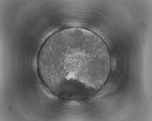 X0000111450390200908241211