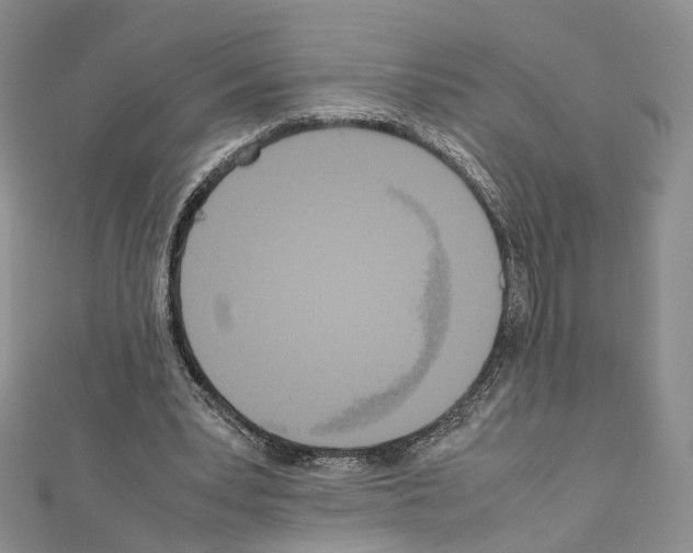 X0000111450391200908241211