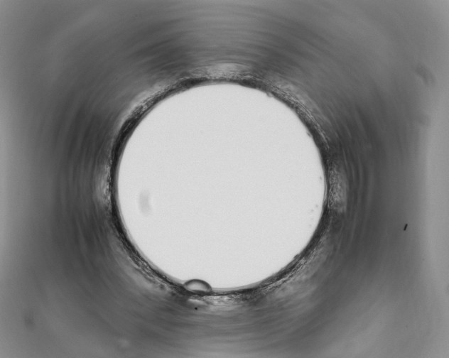 X0000111450392200908241211