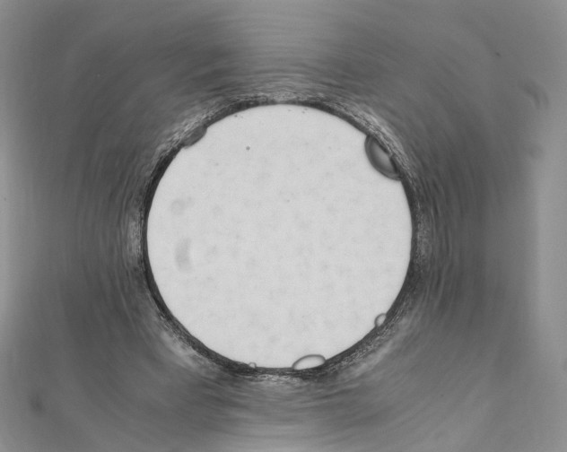 X0000111450393200908241210