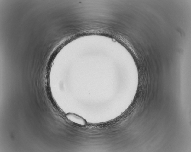 X0000111450395200908241210