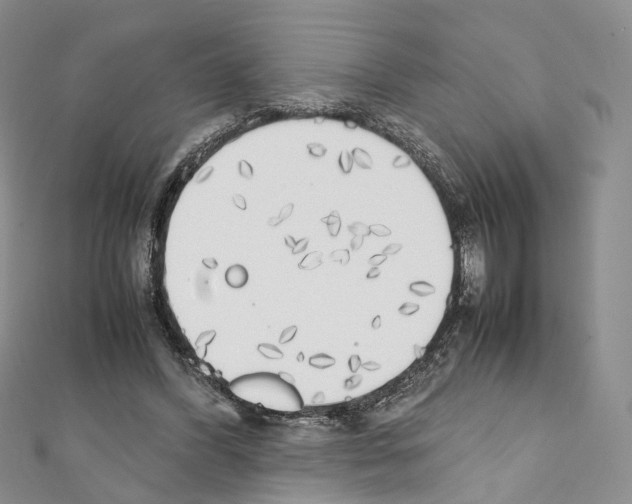 X0000111450396200908241210