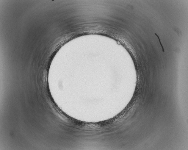 X0000111450397200908241210