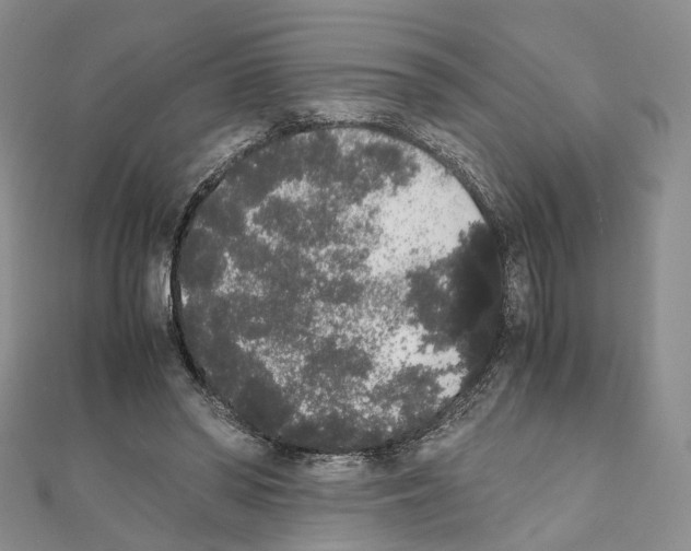 X0000111450398200908241210