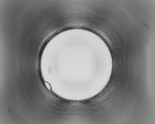 X0000111450399200908241210