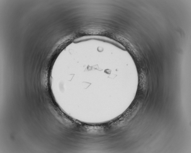 X0000111450400200908241210