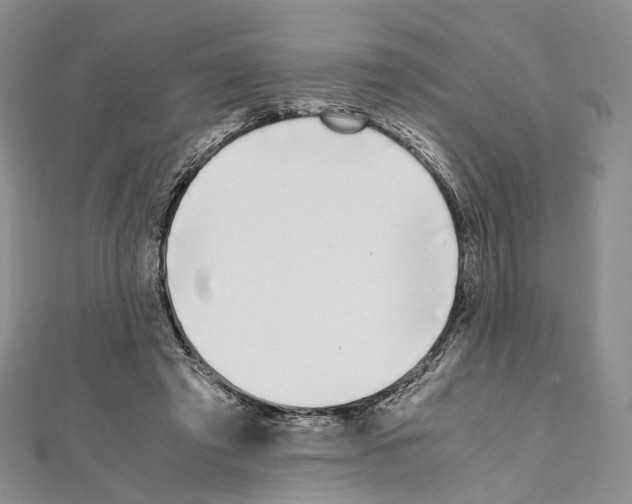X0000111450401200908241210