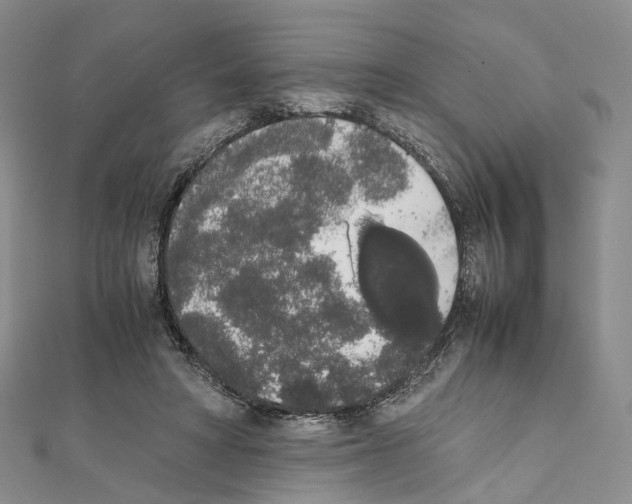 X0000111450402200908241210
