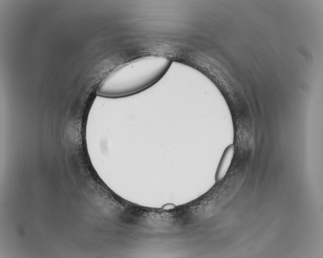 X0000111450403200908241210