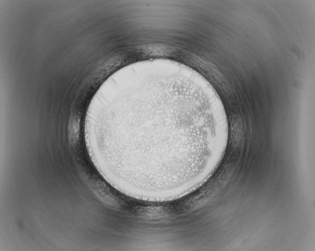 X0000111450406200908241210