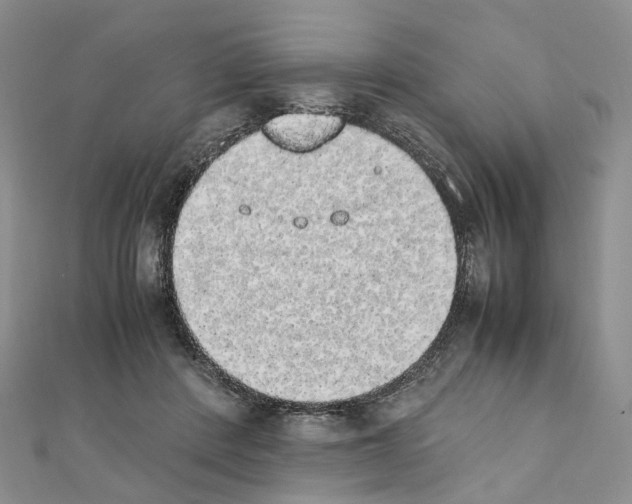 X0000111450408200908241210