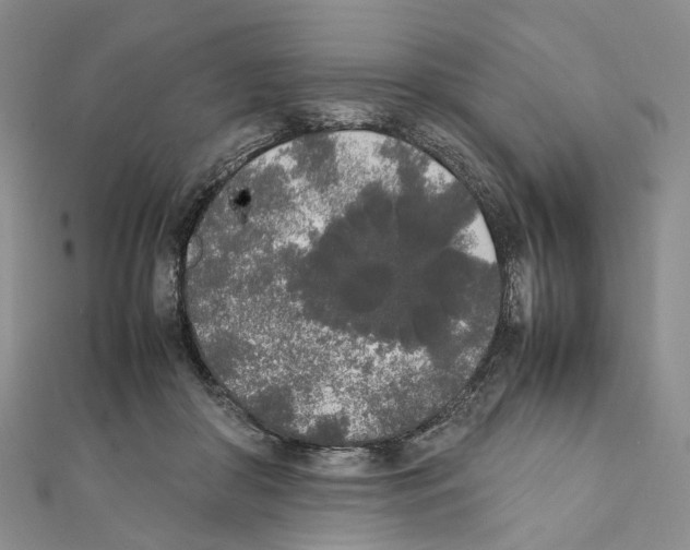 X0000111450410200908241210