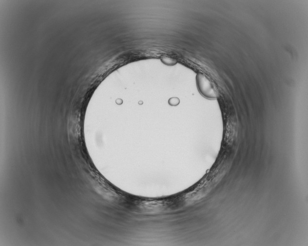 X0000111450413200908241210