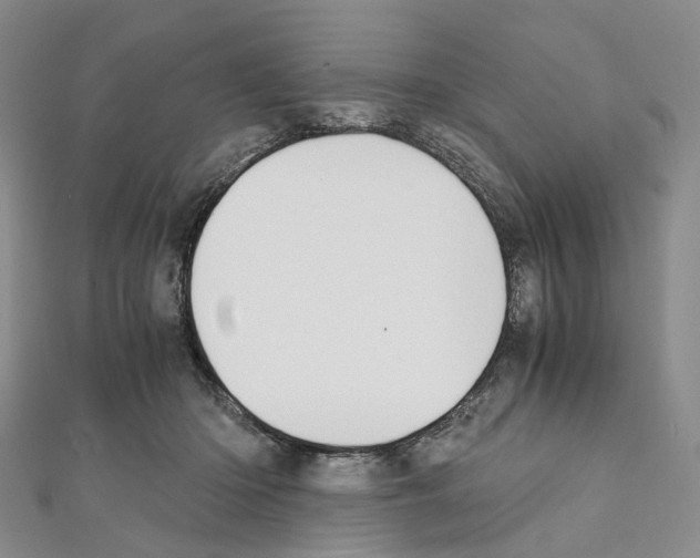 X0000111450414200908241210