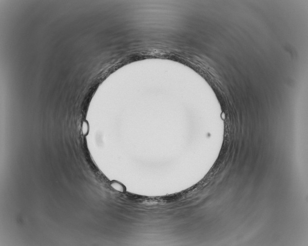 X0000111450415200908241210