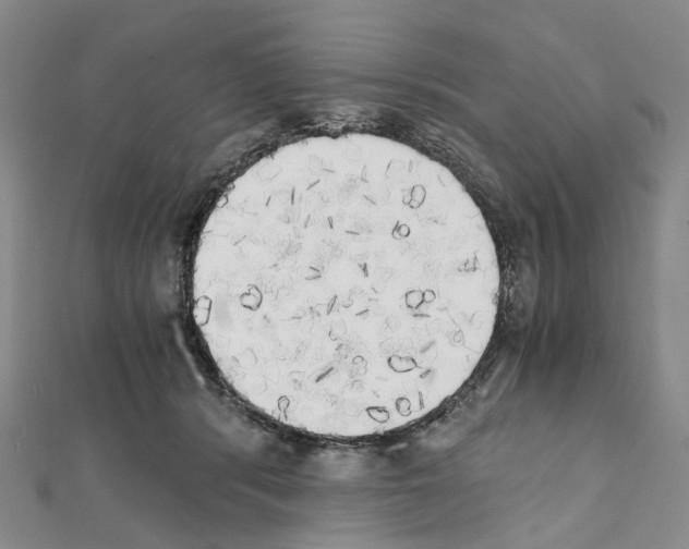 X0000111450416200908241210