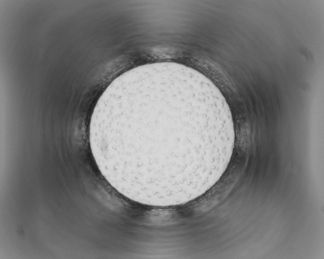 X0000111450418200908241210