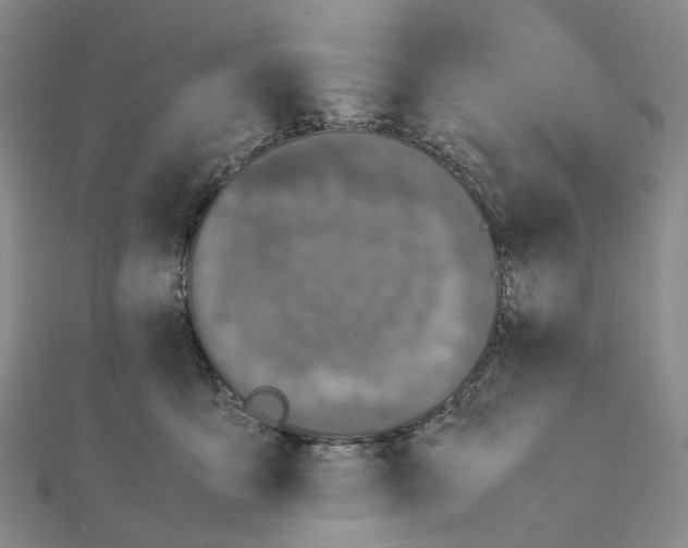 X0000111450419200908241210