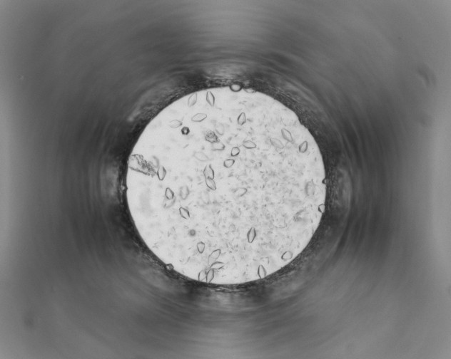 X0000111450420200908241210