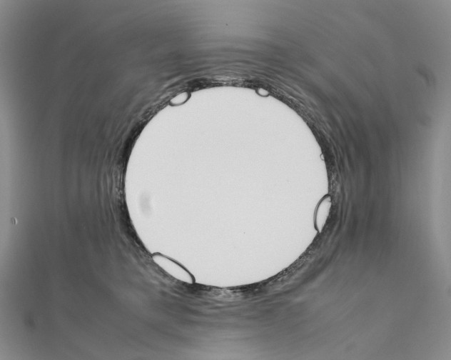 X0000111450421200908241210