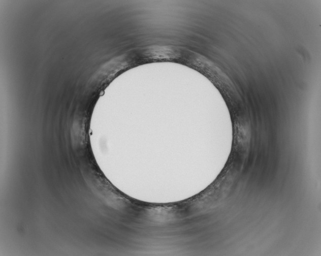 X0000111450422200908241210