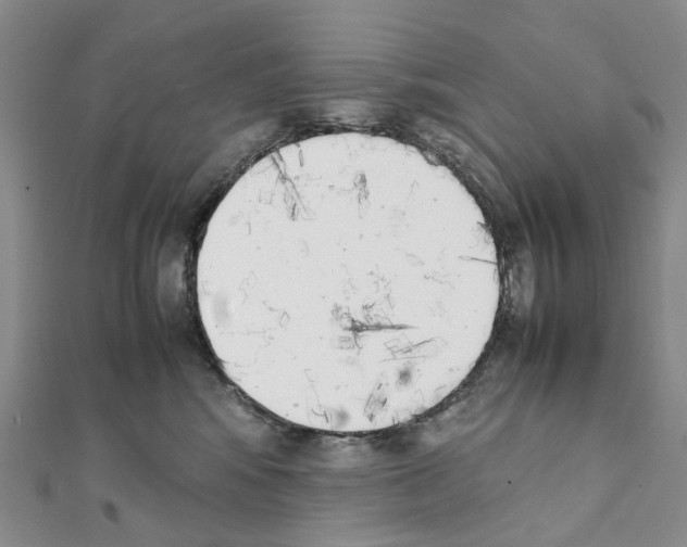X0000111450424200908241210