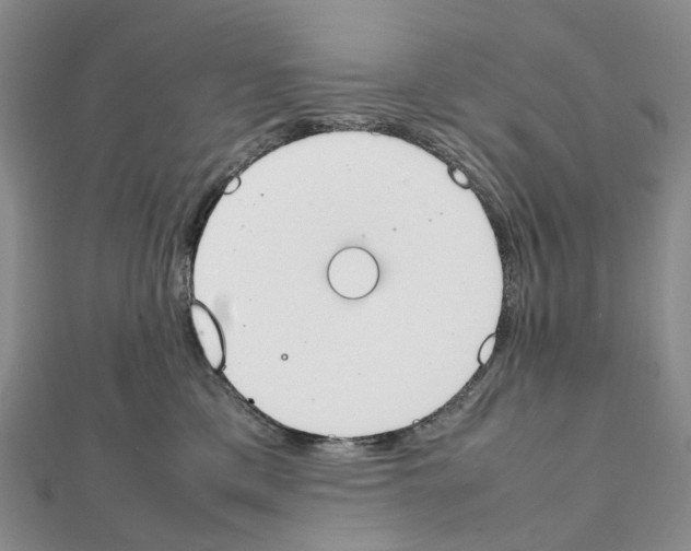 X0000111450425200908241210