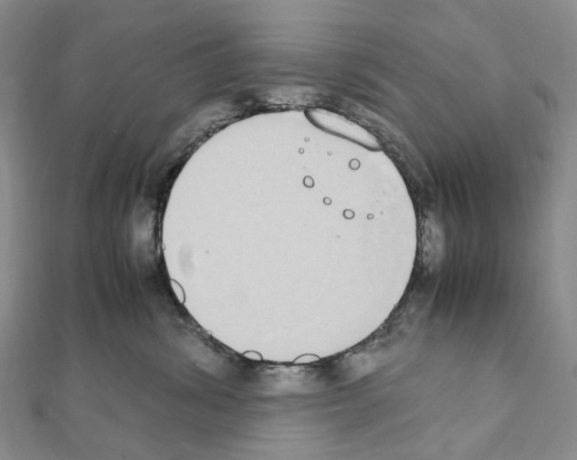 X0000111450428200908241210