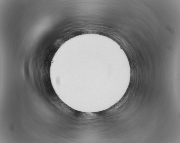 X0000111450429200908241210