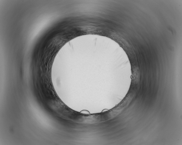 X0000111450430200908241210