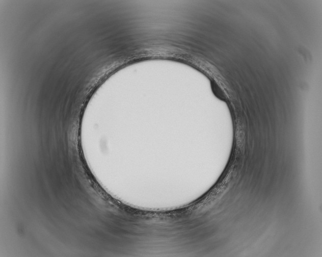 X0000111450434200908241209