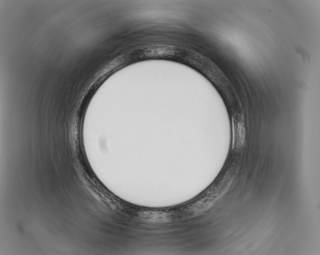 X0000111450435200908241209