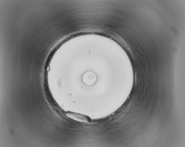 X0000111450436200908241209