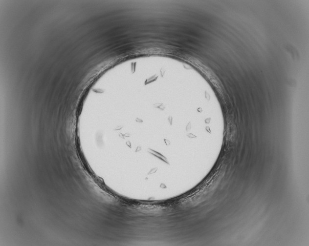 X0000111450437200908241209