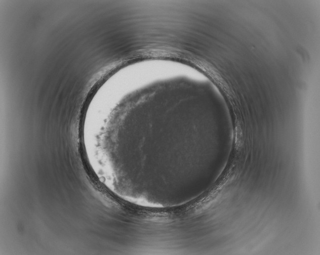 X0000111450438200908241209