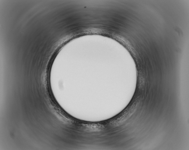 X0000111450439200908241209