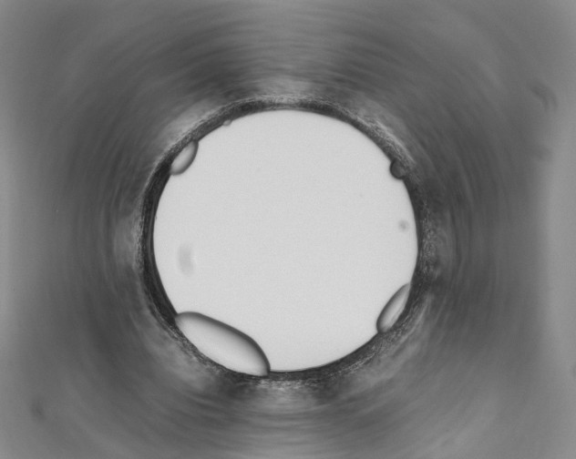 X0000111450440200908241209
