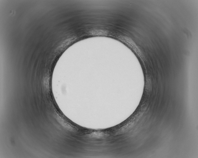 X0000111450441200908241209