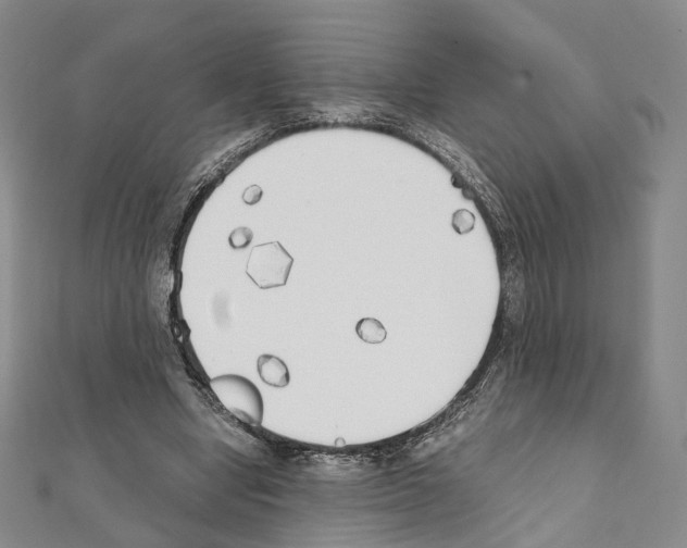X0000111450442200908241209
