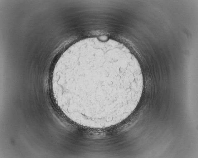 X0000111450443200908241209